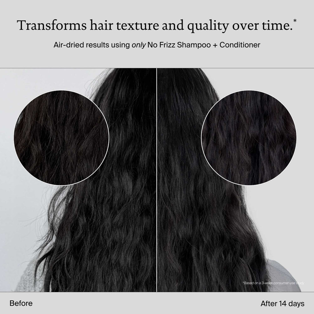 No Frizz Conditioner